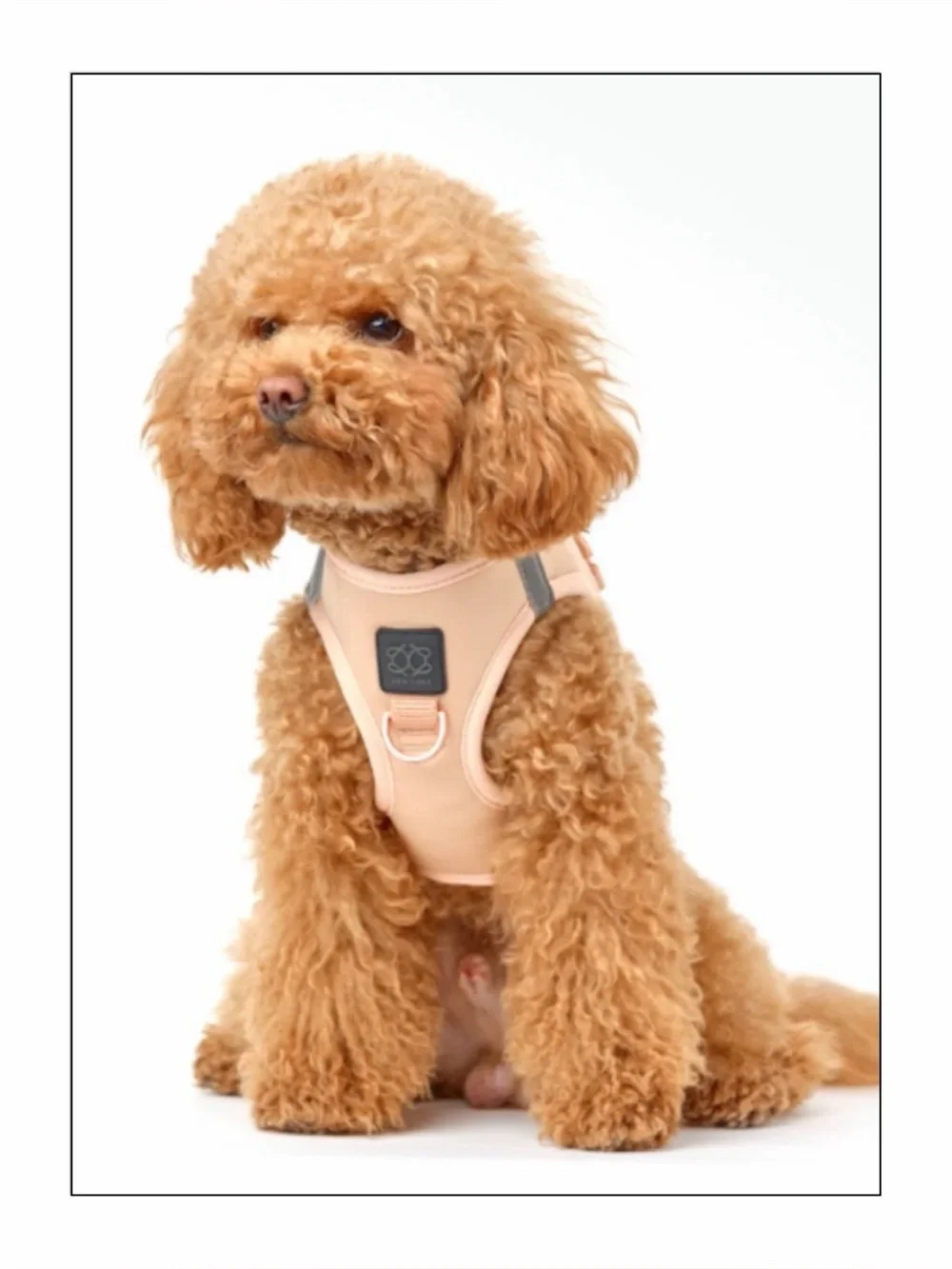 NWT Dogistry New York SoHo Dog Harness with D-Ring Size: Medium - Color: Dune